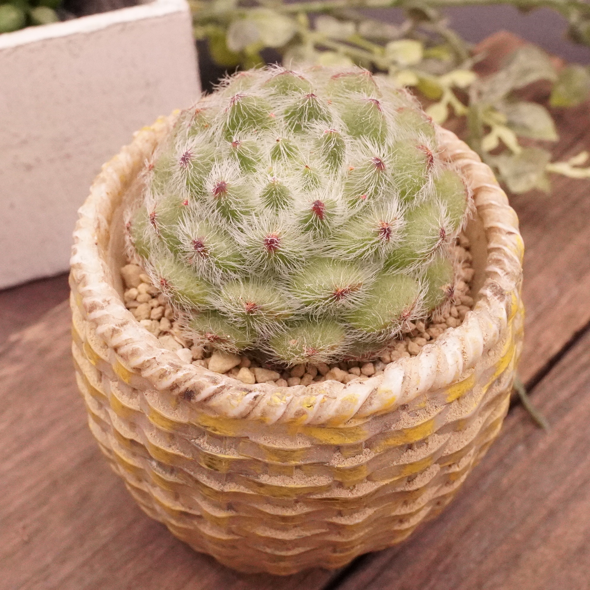 アビユ