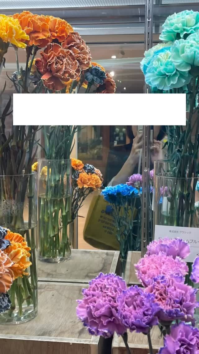 モンロークイーン】の紹介ページ｜E-TANIKU（イータニク）